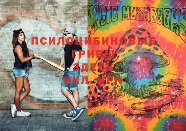меф Каменка