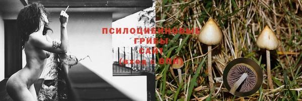 меф Каменка